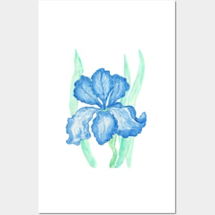 Blue iris Posters and Art